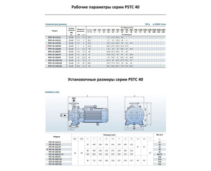 Насосный агрегат моноблочный фланцевый PURITY PSTC 40-160/30