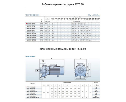 Насосный агрегат моноблочный фланцевый PURITY PSTC 50-125/22